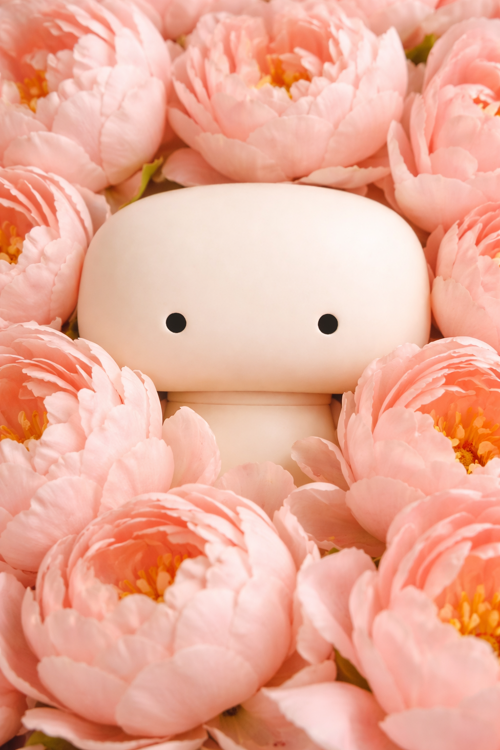 bloom